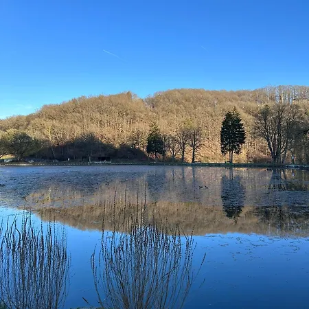 Appartamento Eifelnest 2