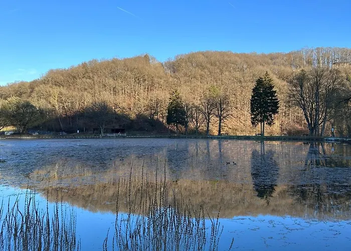 Appartamento Eifelnest 2